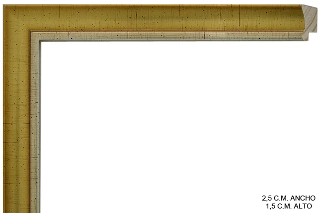 Moldura clásica dorada para cuadros, perfil moldurado, ref. 011815-6863