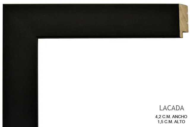 Moldura negra para cuadros, perfil plano, ref. 66040002