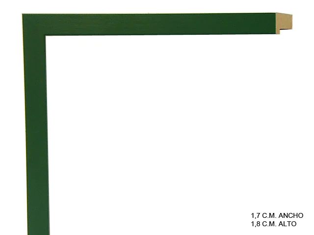 Moldura verde de la colección infantil para marcos de cuadros, perfil de bloque, ref. 66742005