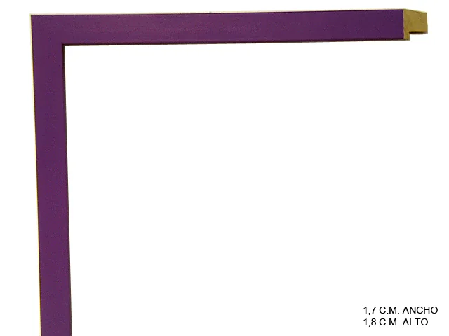 Moldura violeta de la colección infantil para marcos de cuadros, perfil de bloque, ref. 66742020